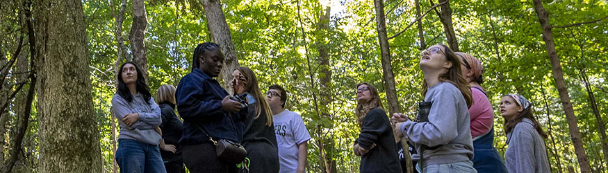 photo of students in the wright state woods with a class