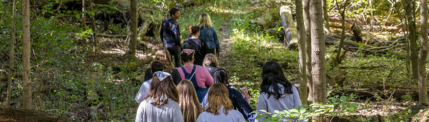 photo of students and professors walking in the wright state woods