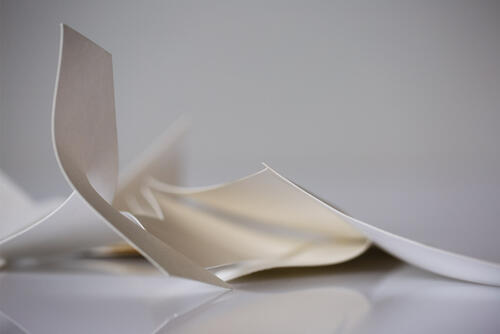 An image from the gallery of Elizabeth Mead Exhibit