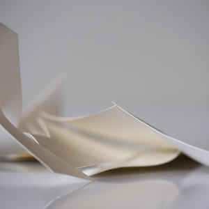 An image from the gallery of Elizabeth Mead Exhibit